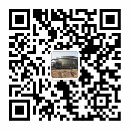 濰坊丝瓜视频成人 濰坊丝瓜视频成人