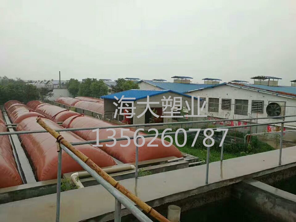 屠宰（zǎi）場（chǎng）沼（zhǎo）氣池