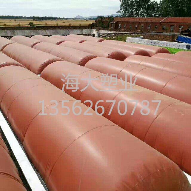 甘肅秦安（ān）養（yǎng）殖場沼（zhǎo）氣池（chí）