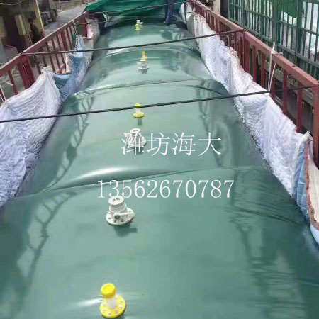 車載水（shuǐ）袋